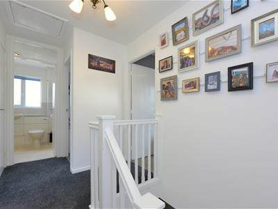 Picture 12